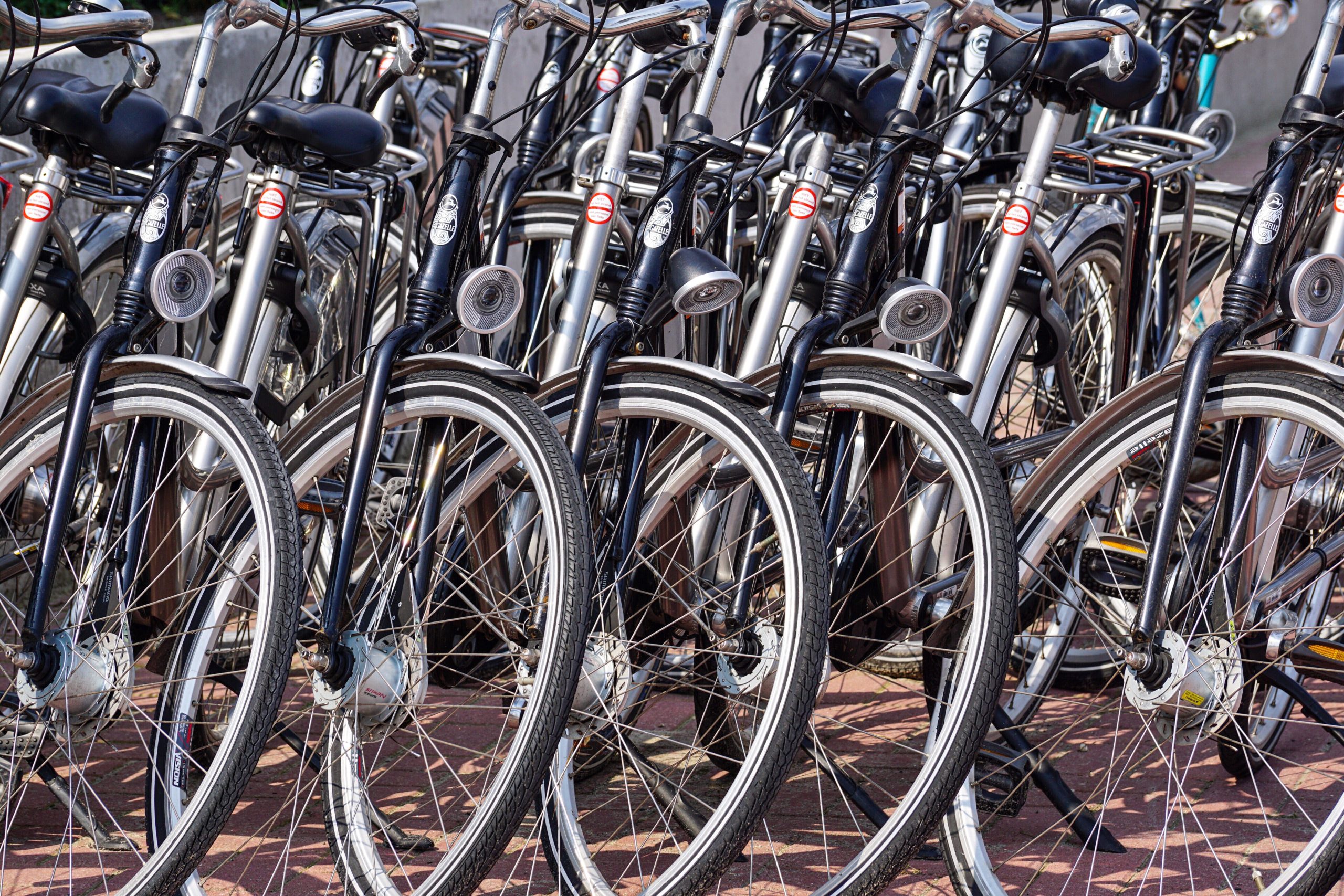 parked bicycle arrayed side-by-side